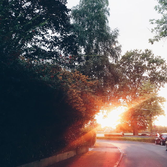 Auf der Mammilade|n-Seite des Lebens | Lifestyle-Blog | Herbst | Sonnenuntergang