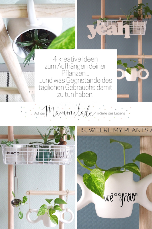 4 alternative Ideen zum Aufhängen deiner Pflanzen mit Haushaltsgegenständen - http://mammilade.blogspot.de