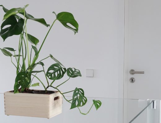 DIY-Blumenkasten zum Aufhängen an Treppengeländern und Galerien plus Pflegetipps und Informationen zur Monstera-Pflanze | mammilade.com