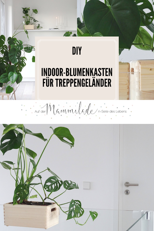 DIY-Blumenkasten zum Aufhängen an Treppengeländern und Galerien plus Pflegetipps und Informationen zur Monstera-Pflanze | https://mammilade.blogspot.de