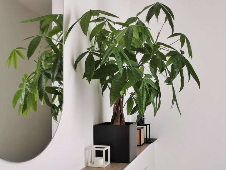 DIY-Handtuchhalter aus Holz-Turnringen | mammilade.com