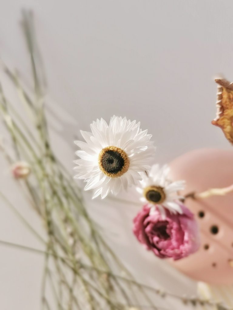 Geschenkidee mit Trockenblumen | mammilade.com